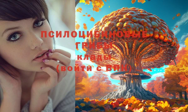 индика Бронницы